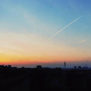 欧美黑人一级爽快片婬片高清
